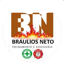 Braulios Neto Treinamentos, Palestras e Assessoria in company